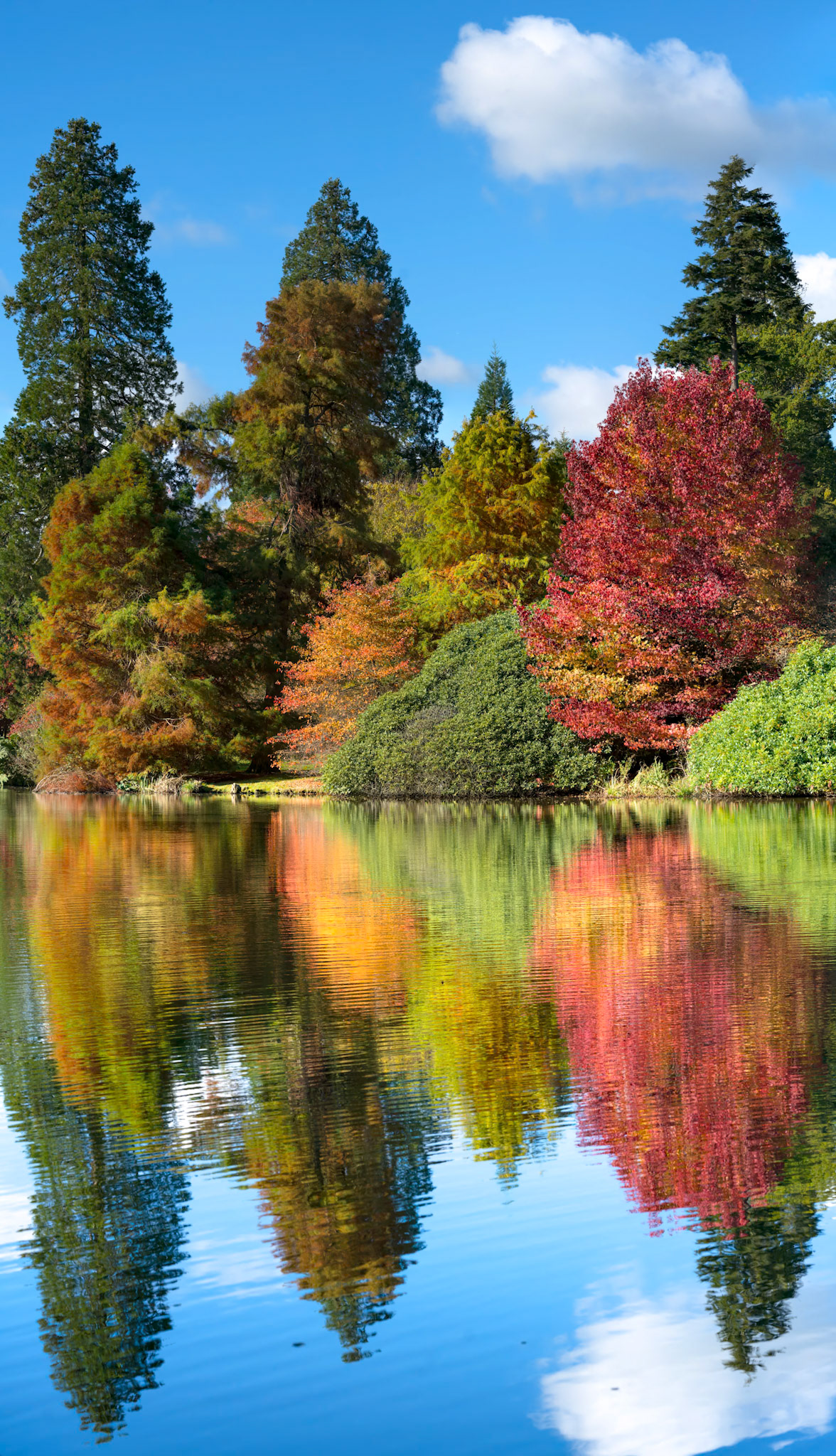 View of Sheffield Park Gardens in Autumn