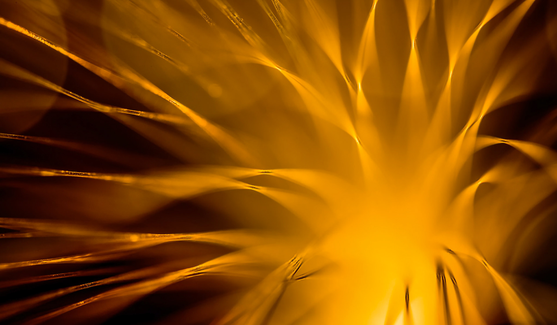 Fibre Optic Abstract