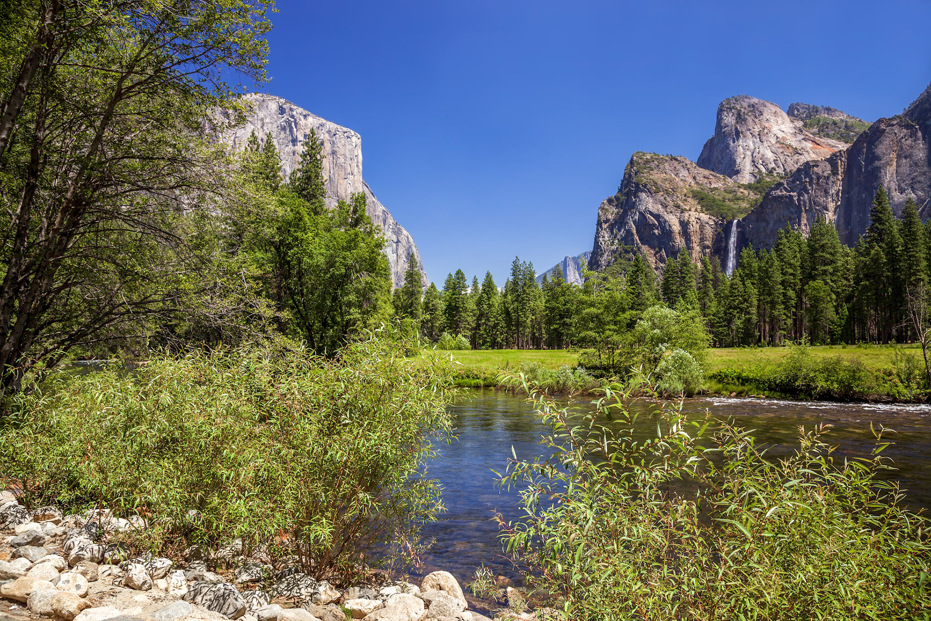 Yosemite Landscape