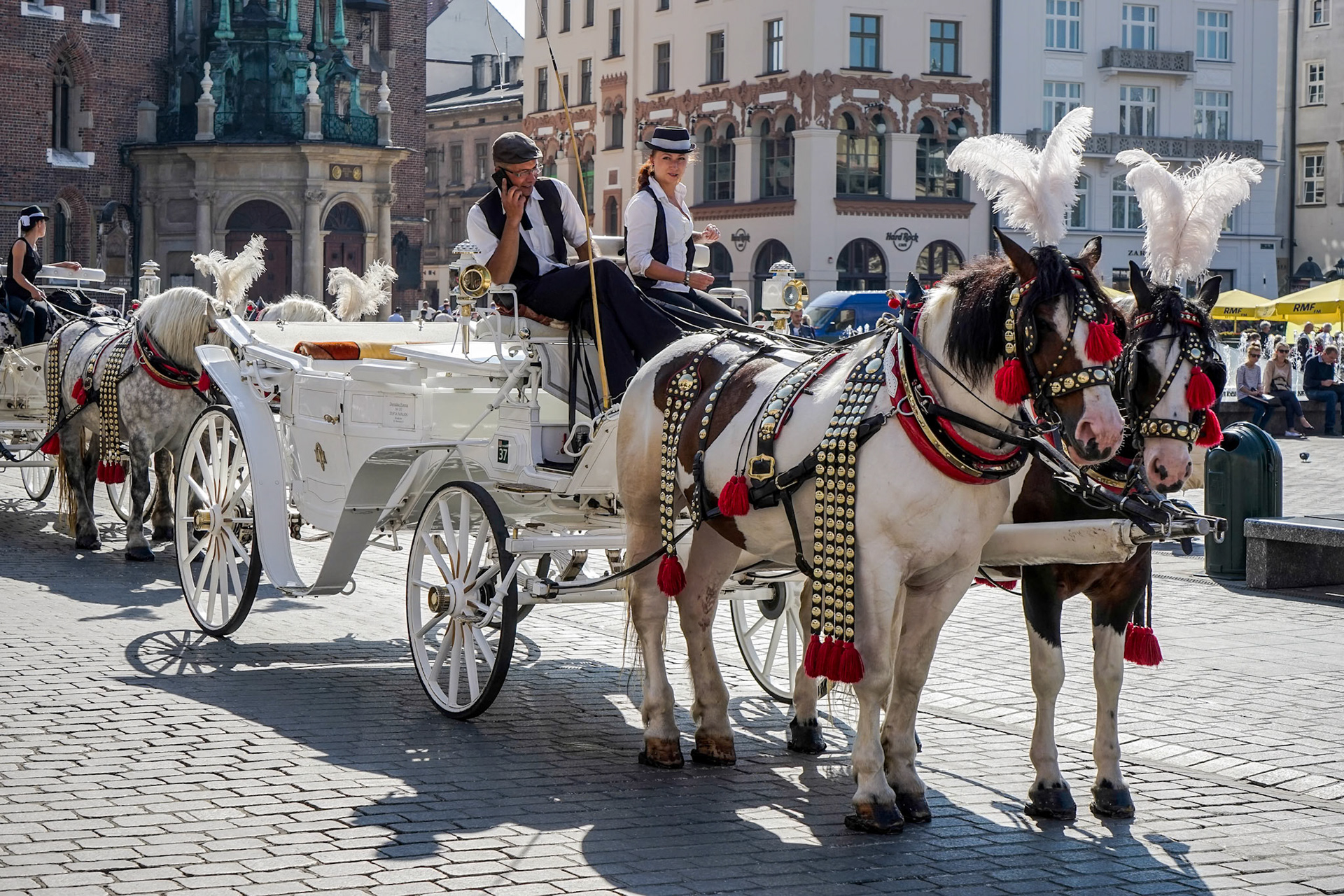 Carriage and Horses in Krakow