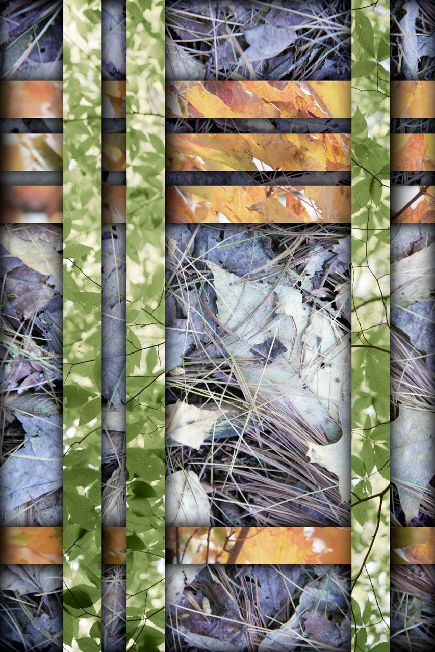 Transition: Spring - Fall - Winter