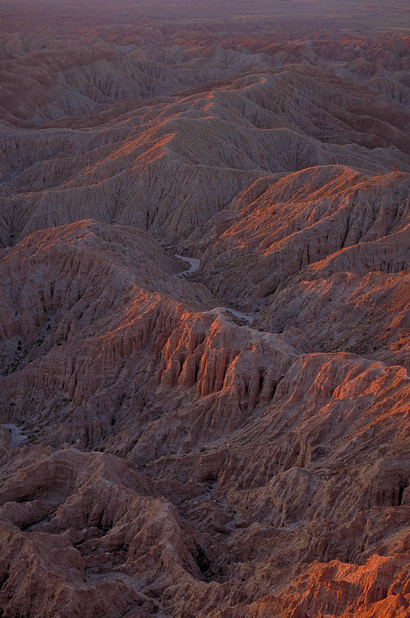 Anza Borrego, California