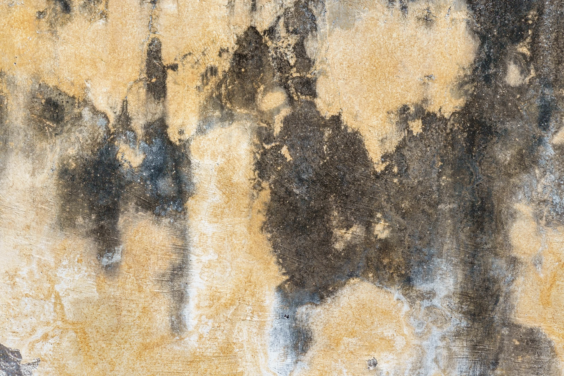 Stains on a wall, Yagul
