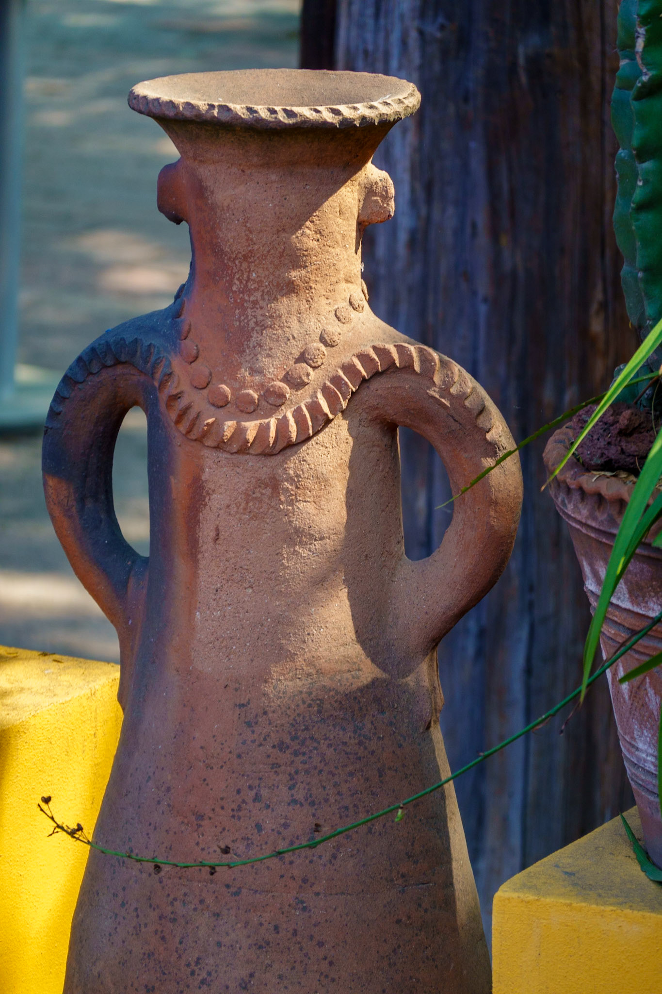 In the garden of Casa Azul, Mexico City