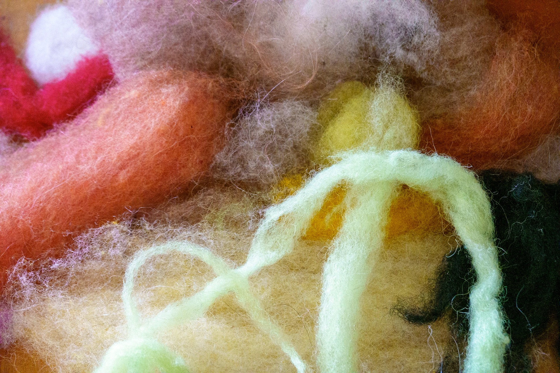 Dyed wool at felting workshop