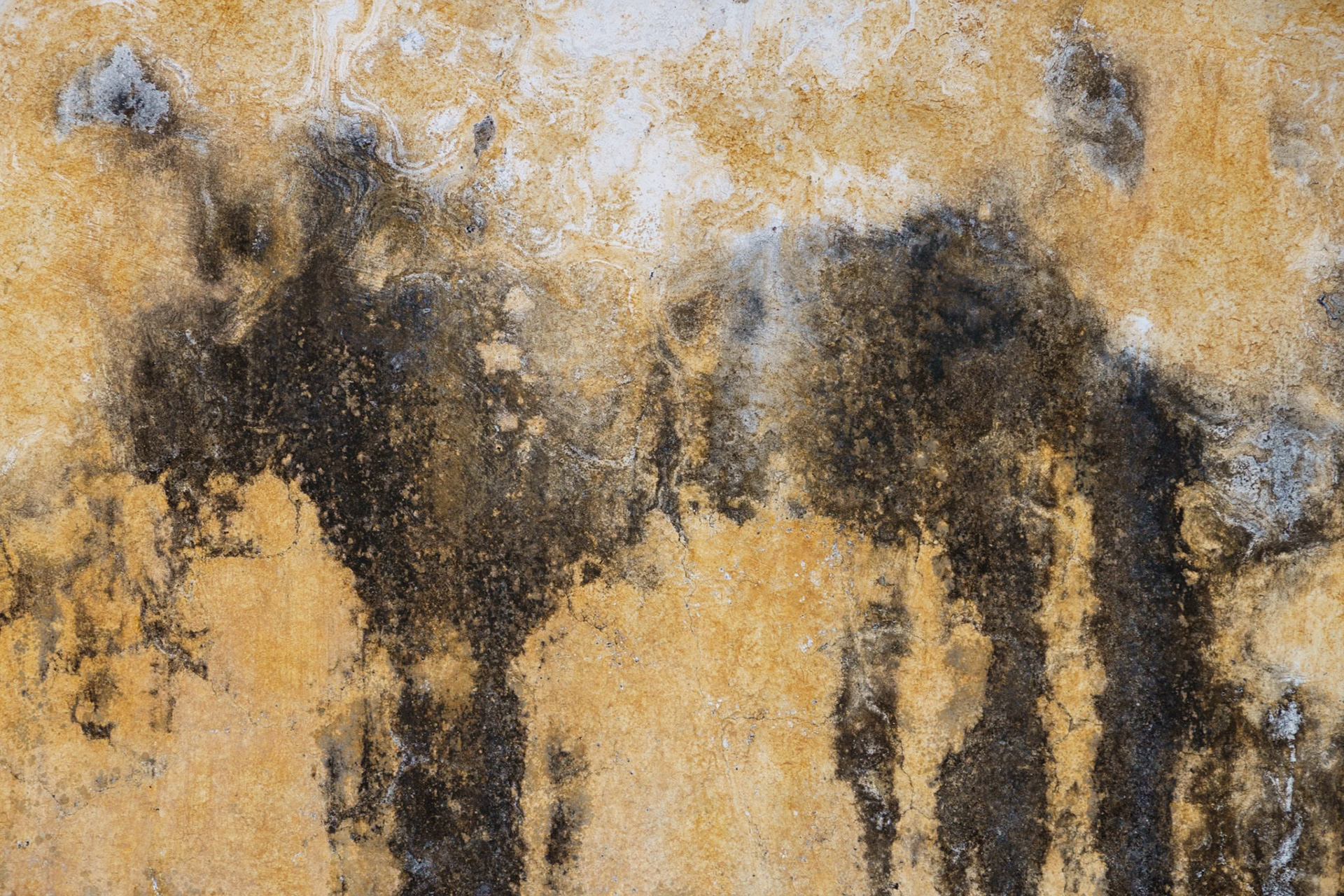 Stains on a wall, Yagul