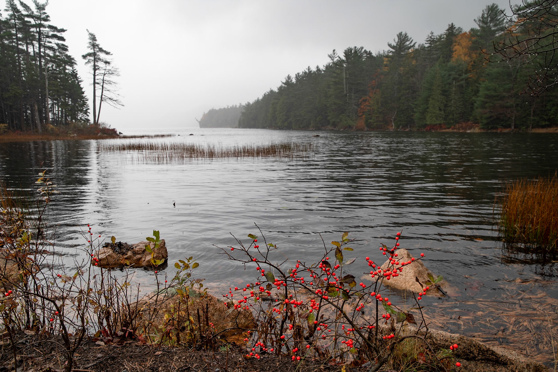 Acadia National Park, Maine