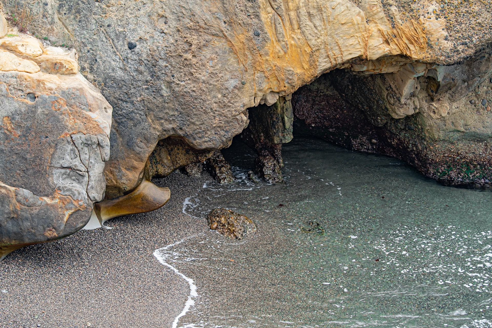 Point Lobos, California