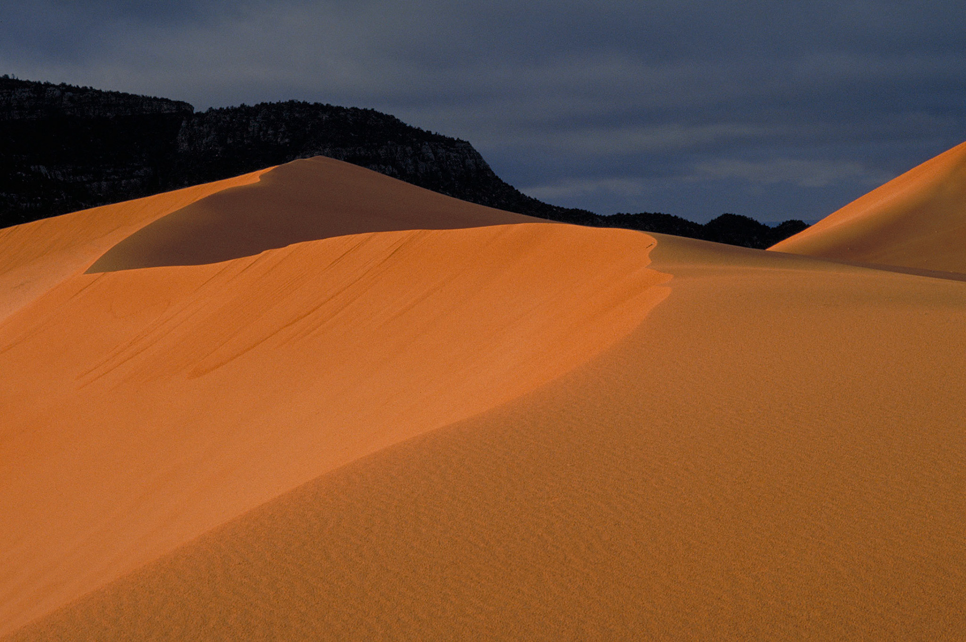 Coral Pink Sand Dunes, Utah