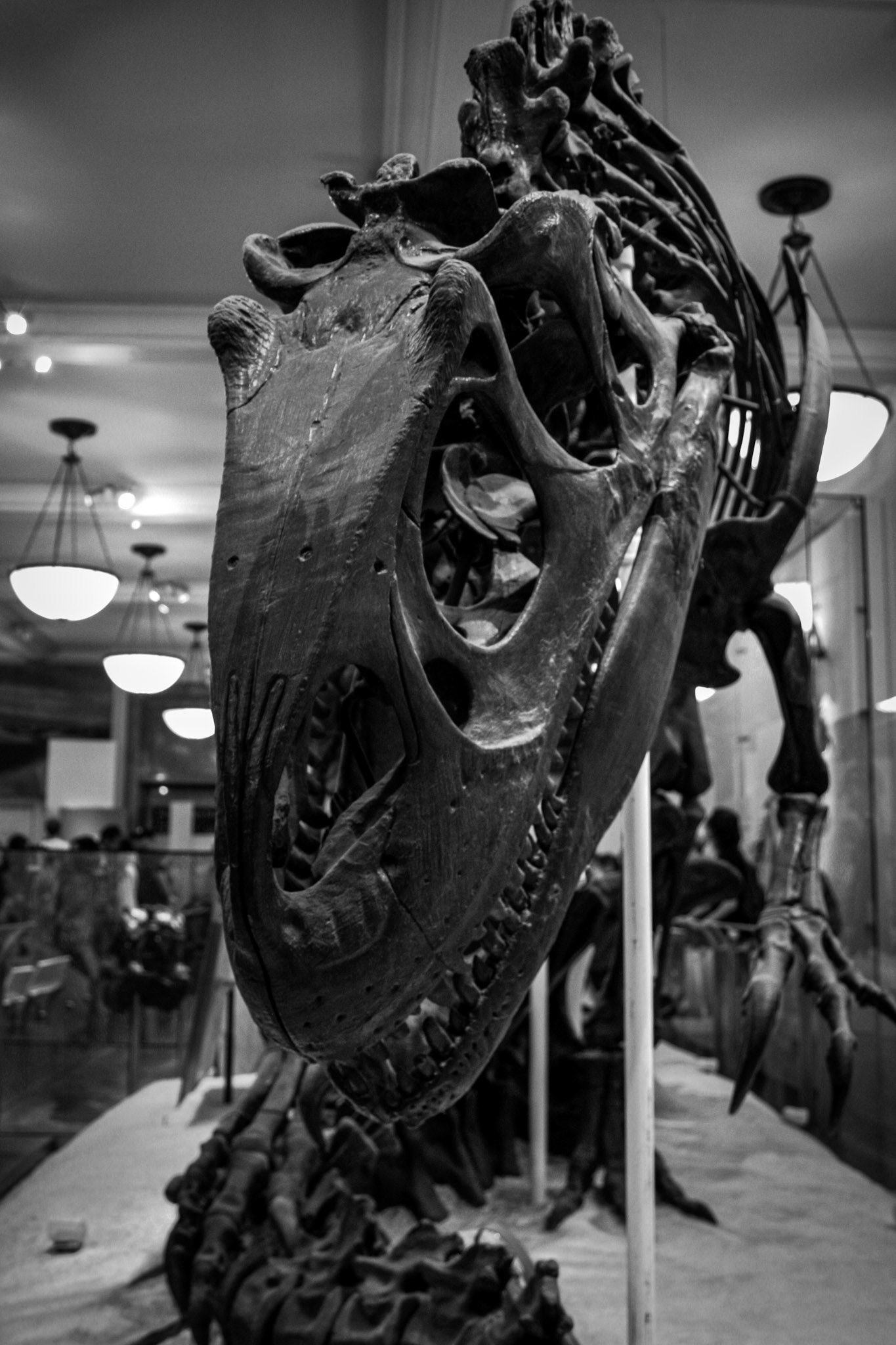 Metropolitan Museum of Art