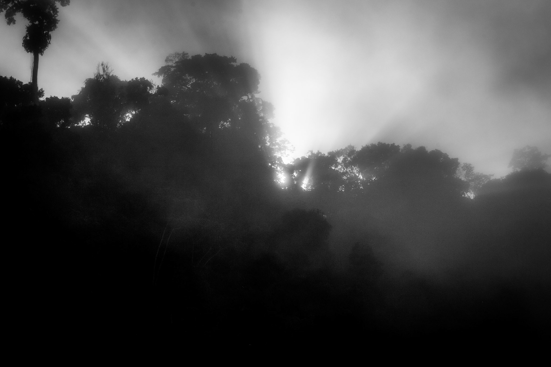 Amanecer at the Amazon