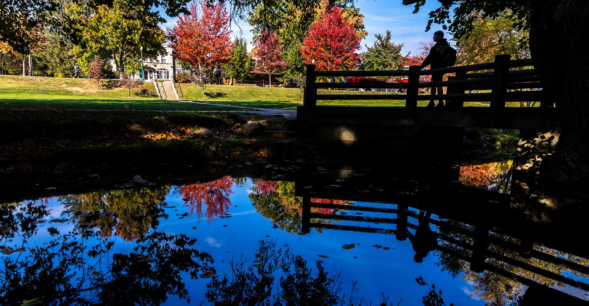 Fall colors in Dunn Meadow.