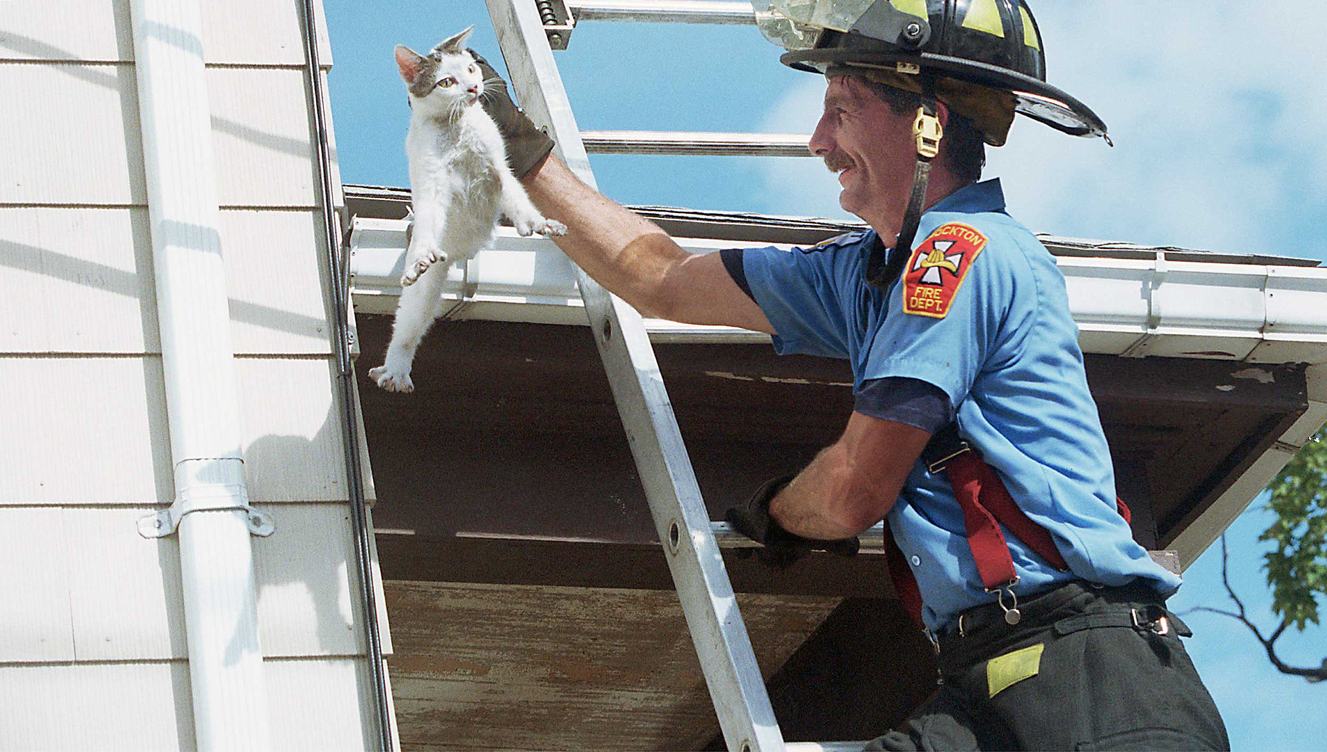 Pet rescue during a fire.