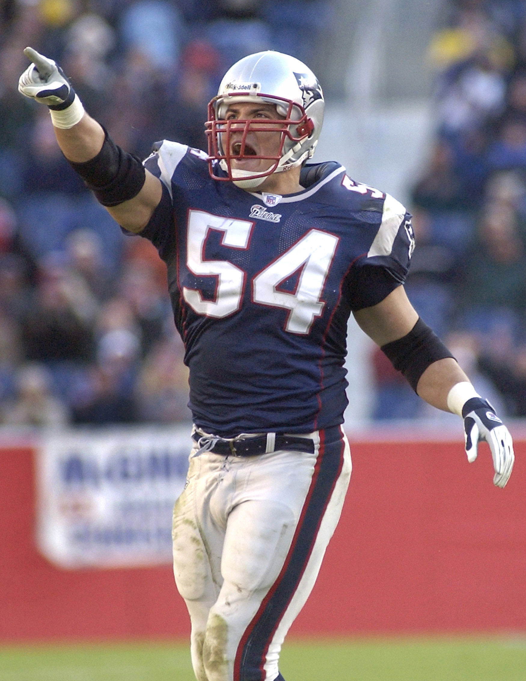 Tedy Bruschi of the New England Patriots works up the crowd during a game against the Minnesota Vikings.