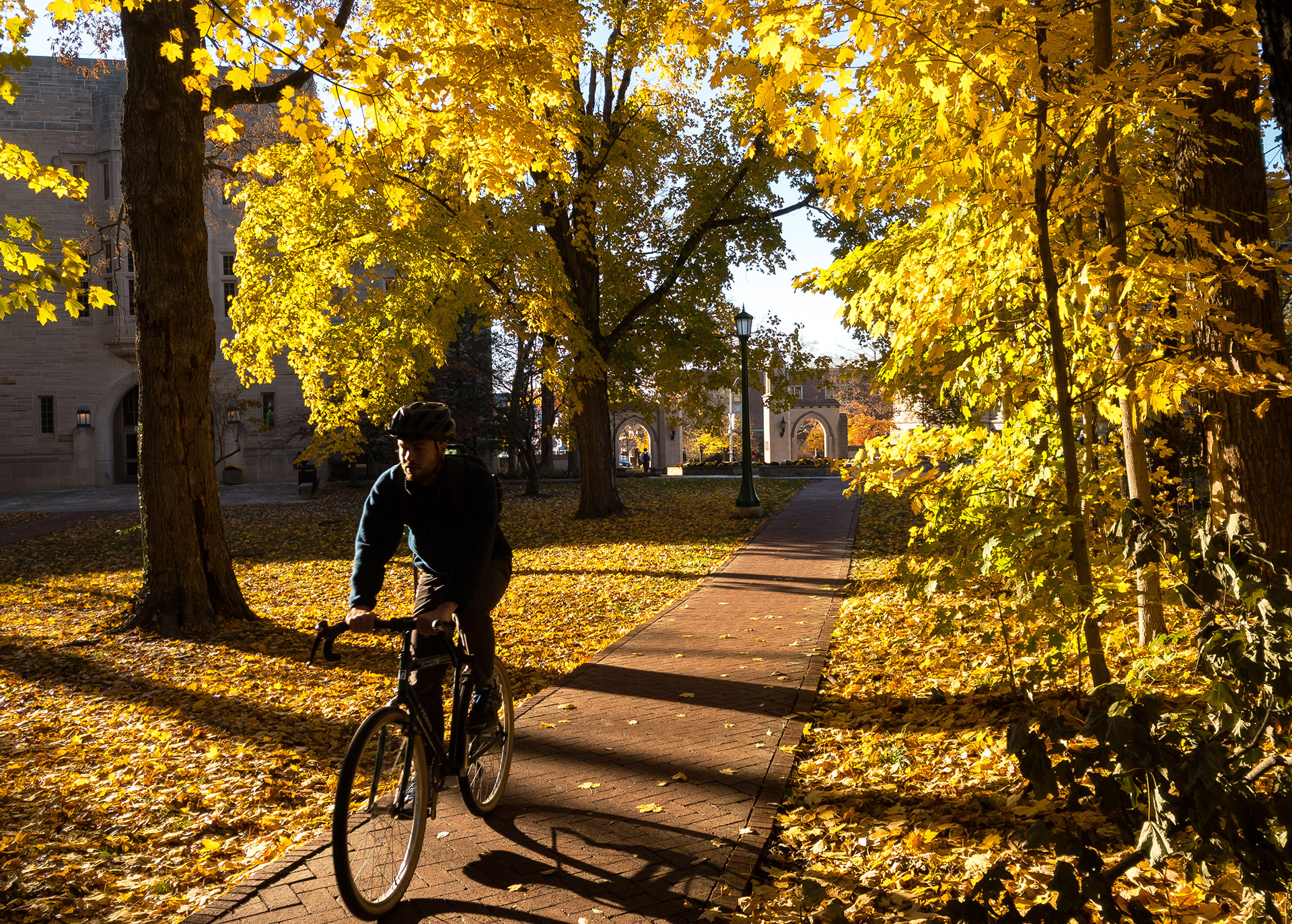 A cyclist rides near the Sample Gates on the campus of Indiana University.
