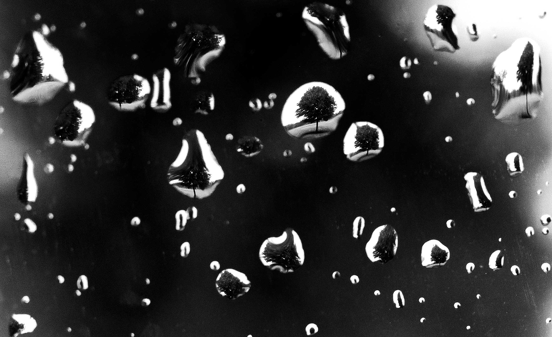 A tree is rendered in raindrops on a car window taken with a macro lens.
