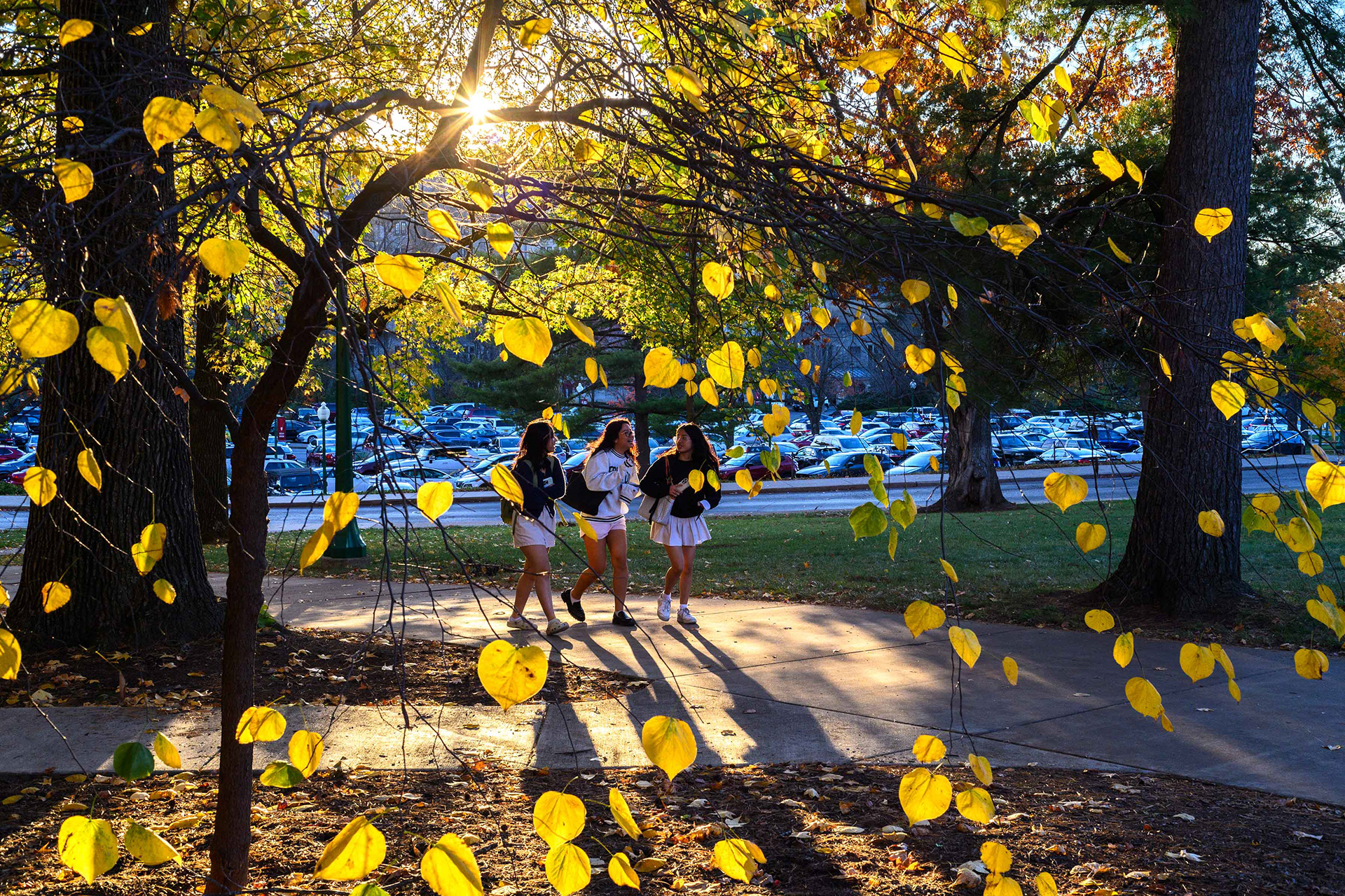 Students on campus amid the fall leaves.