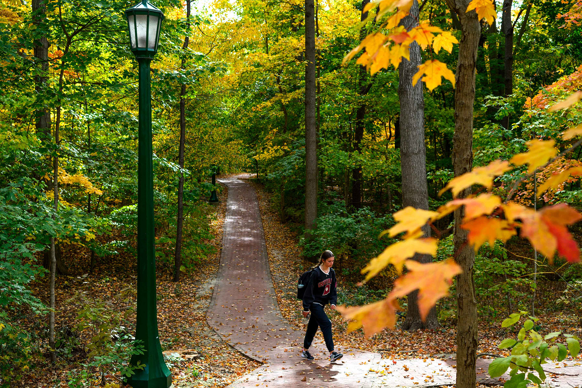 A student emerges from Dunn’s Woods.