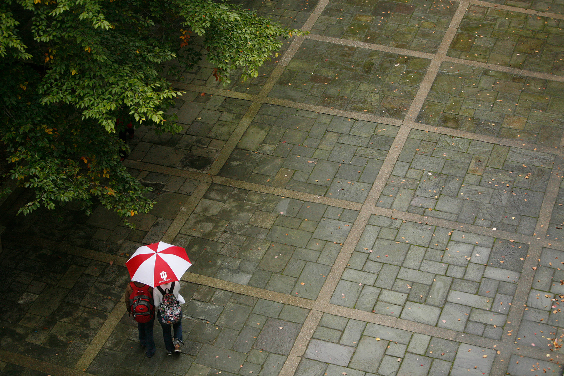 Students huddle together beneath an IU umbrella in the courtyard next to Ballantine Hall.