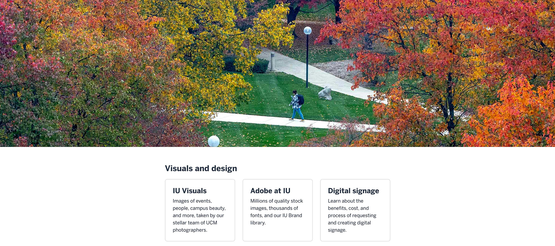 Website - photographer