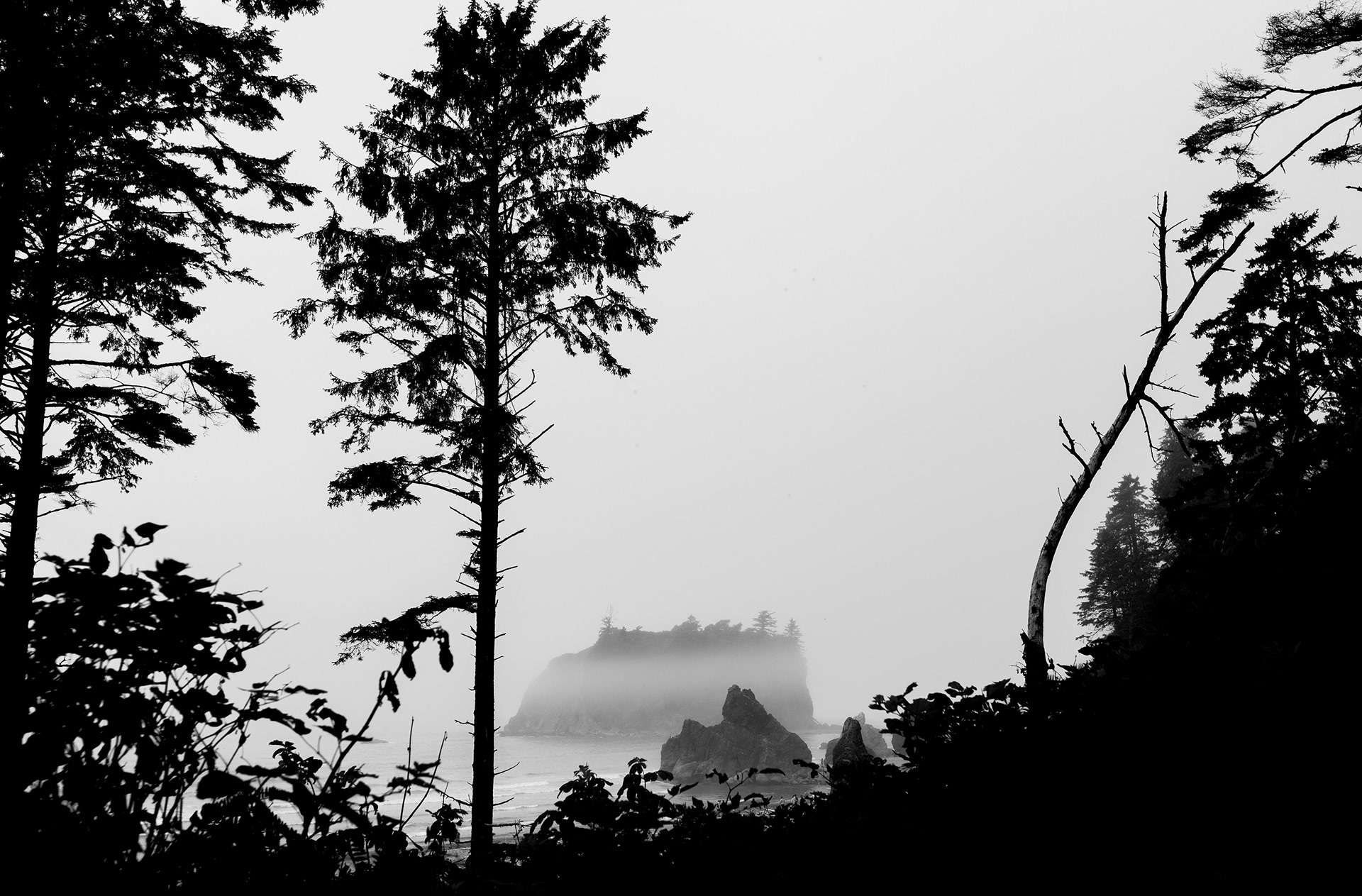 Ruby Beach, WA.