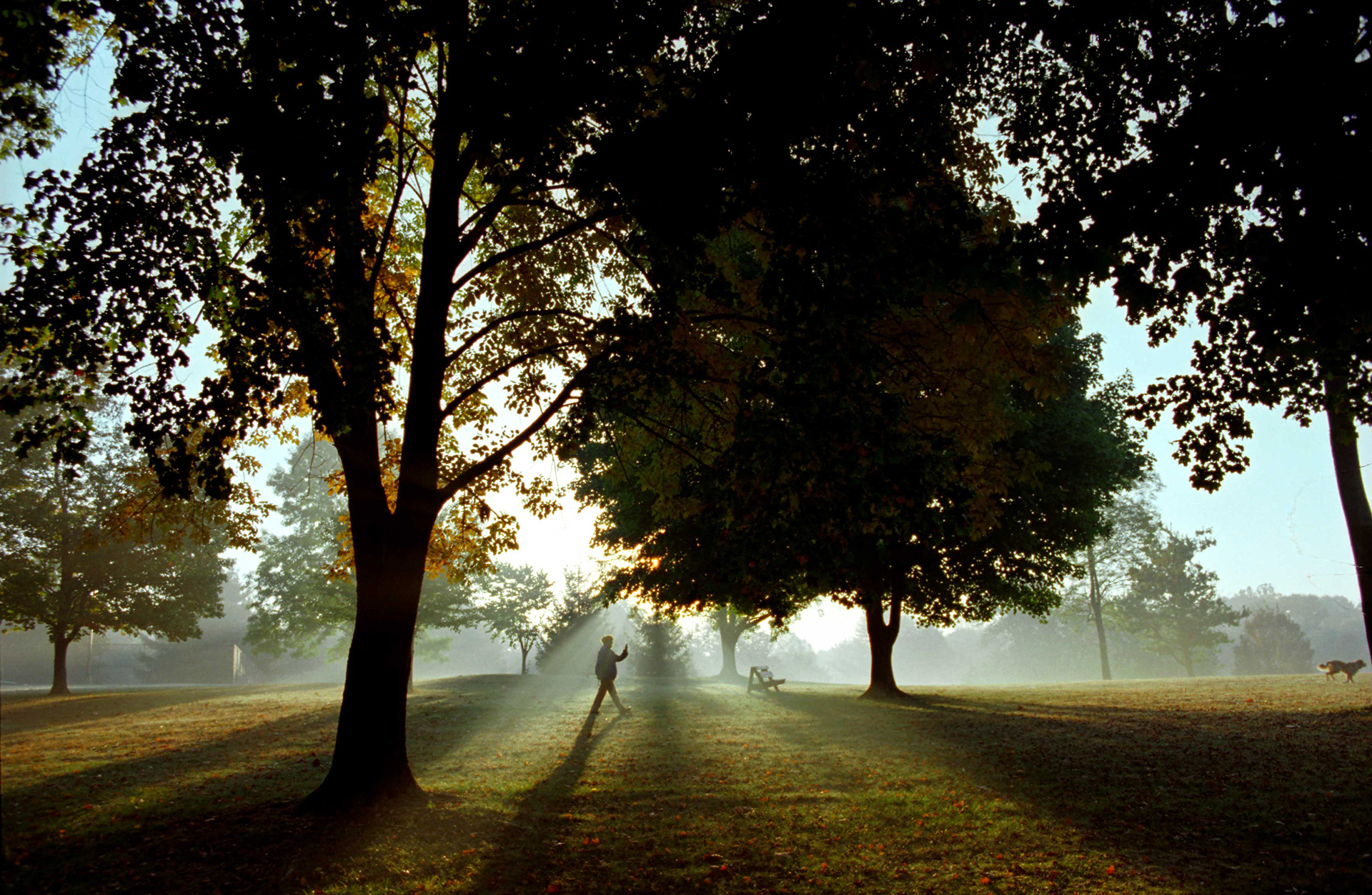 Morning walk in Bryan Park.