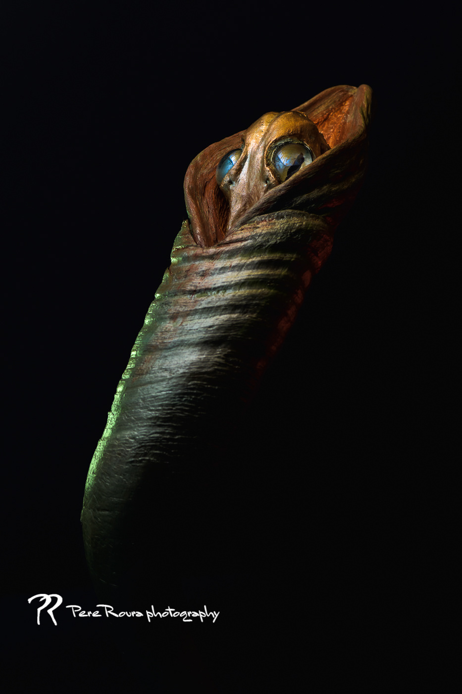 Alienígena