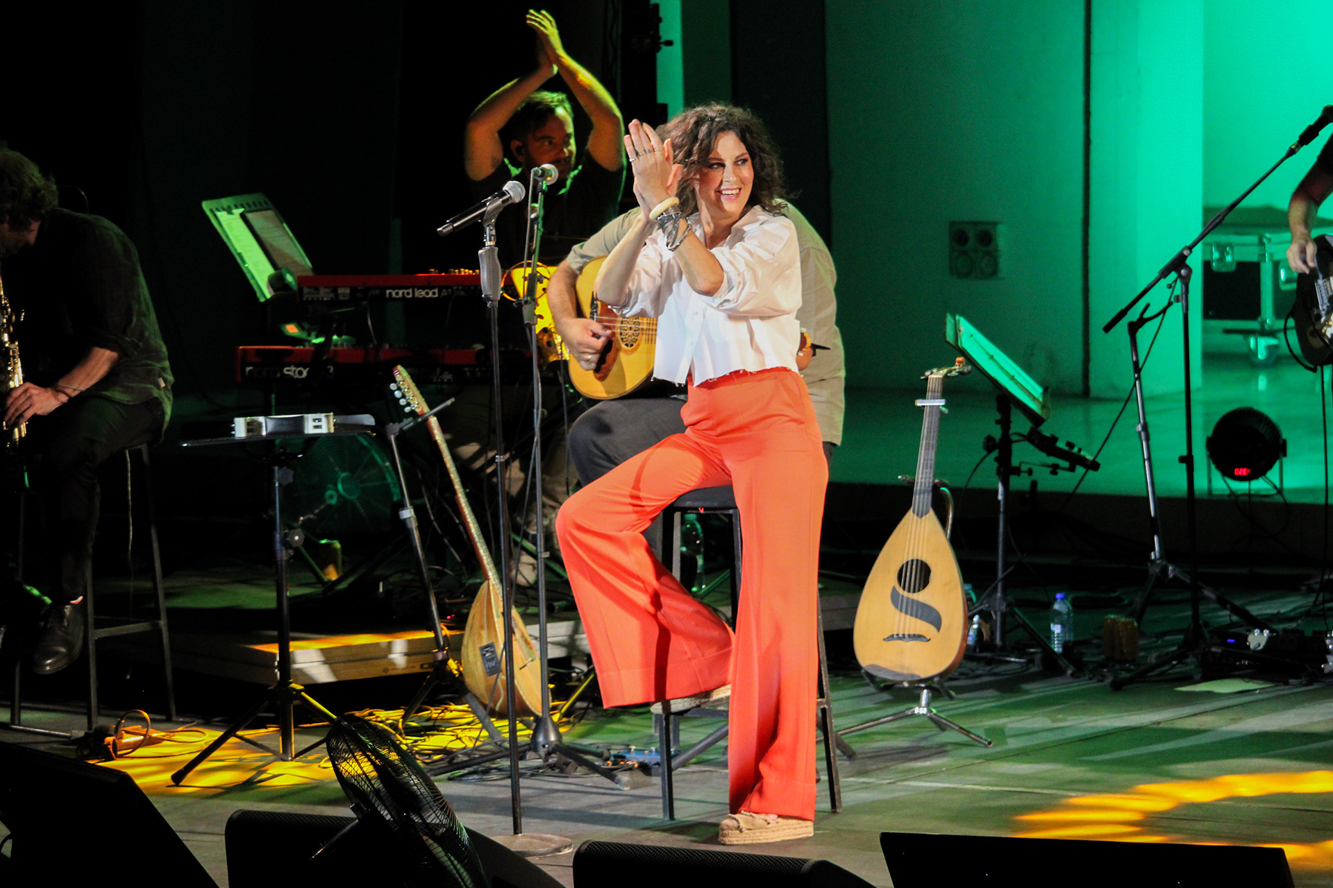 Eleftheria Arvanitaki IX