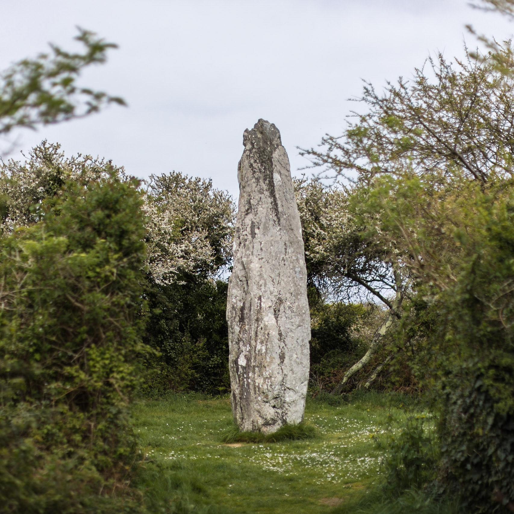 menhir