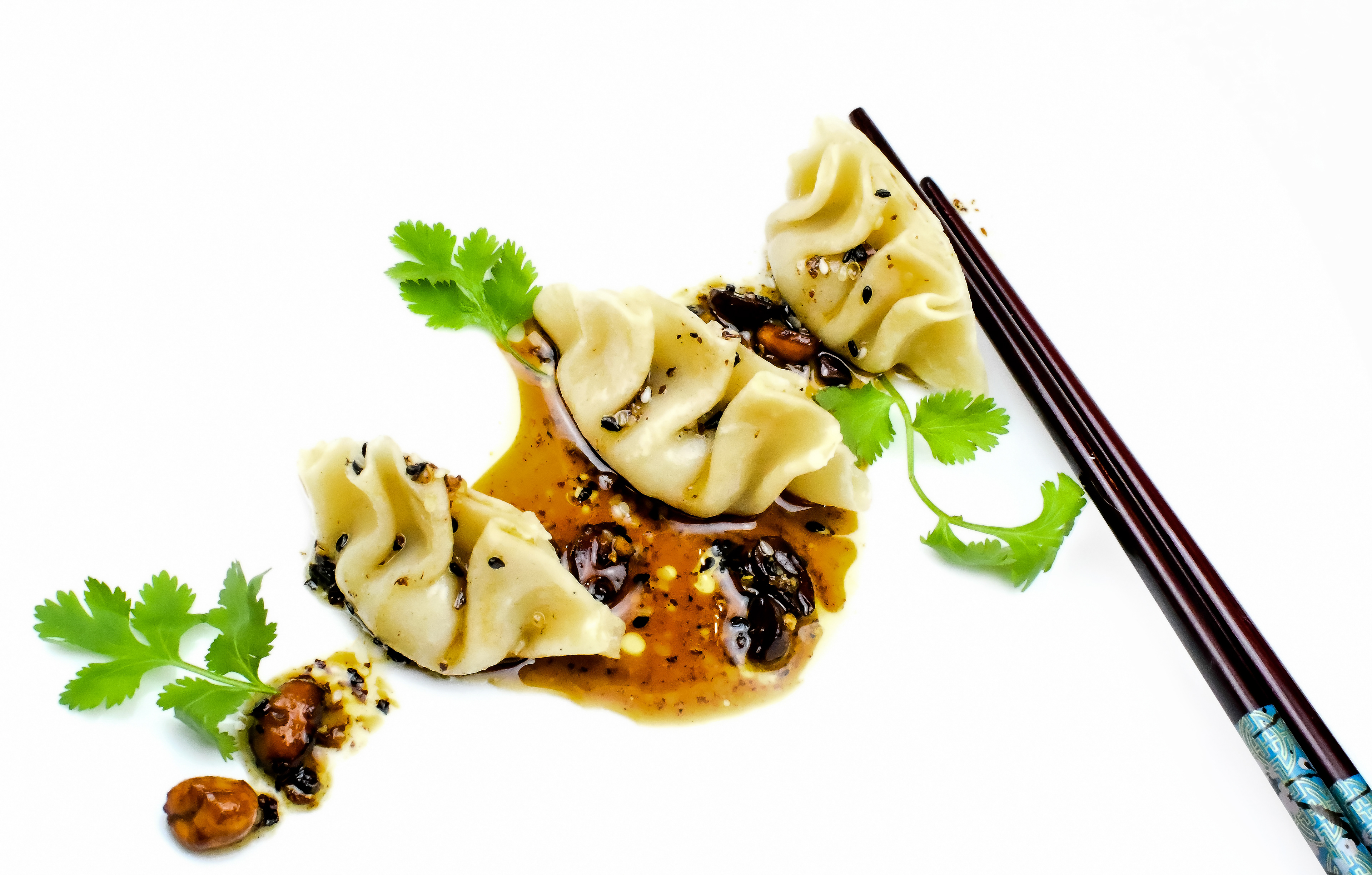 BISON GYOZA WRAPPER