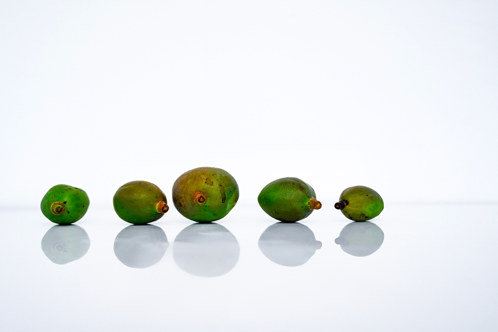 Five tiny, unripe mangoes arranged side-by-side in a straight row on a soft neutral background. The image captures their raw texture and youthful form.