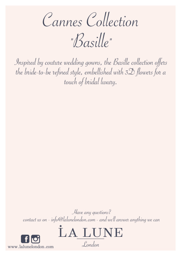 Flyer flip side