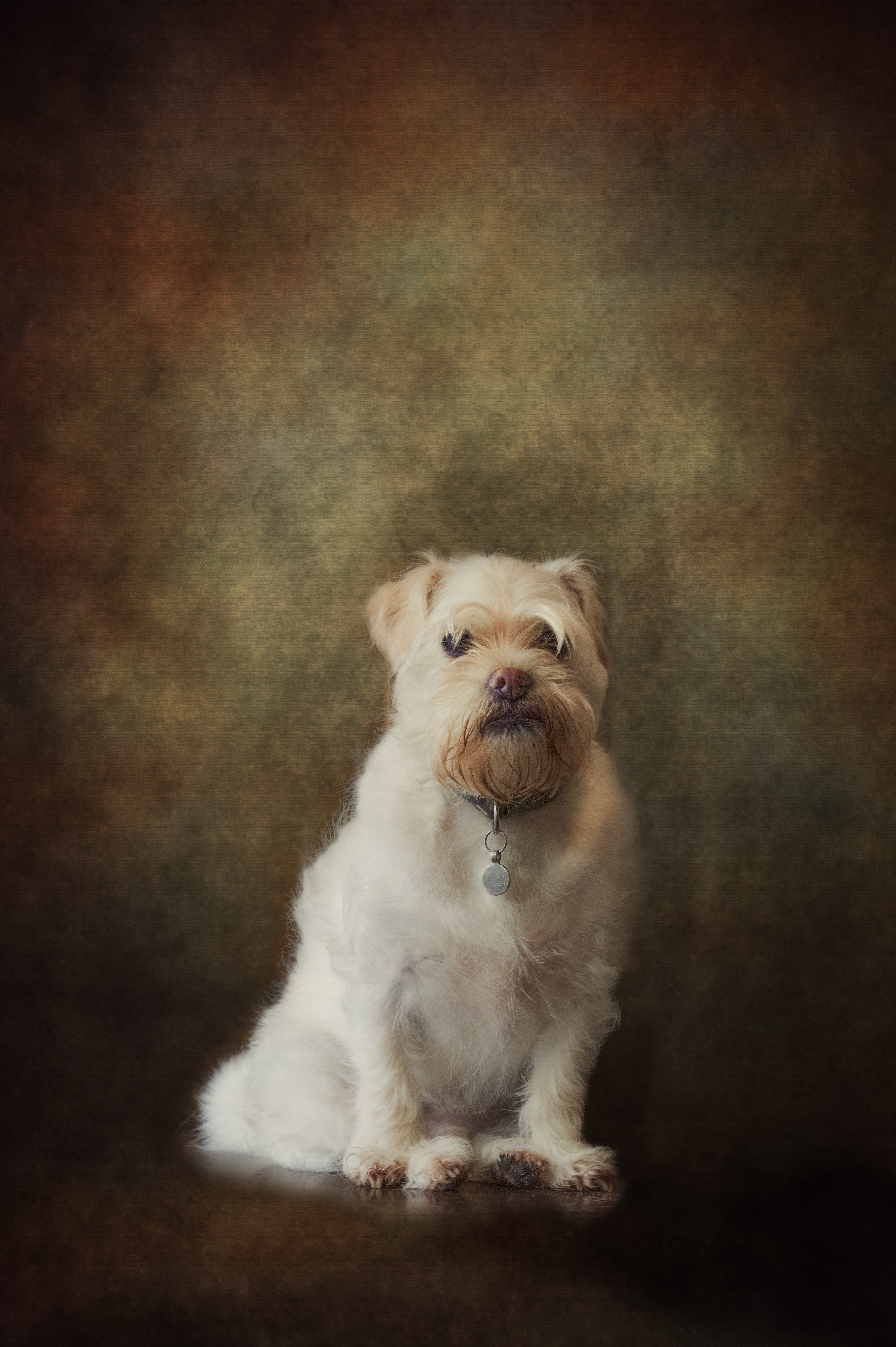 Bespoke Pet Portraits