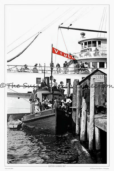 THE VIOLET AND CITY OF SEATTLE, BOSTON HARBOR