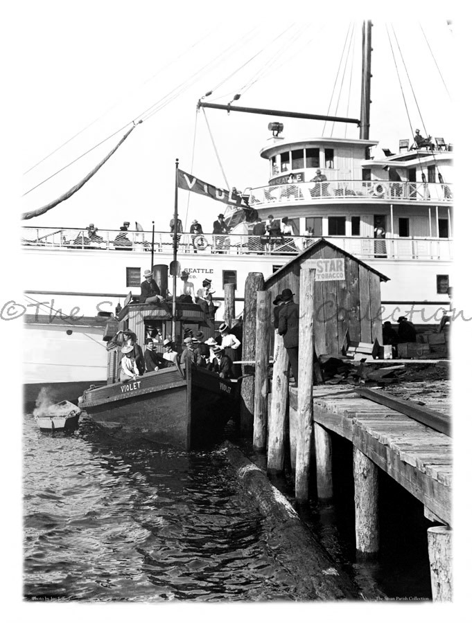 The Violet at Boston Harbor