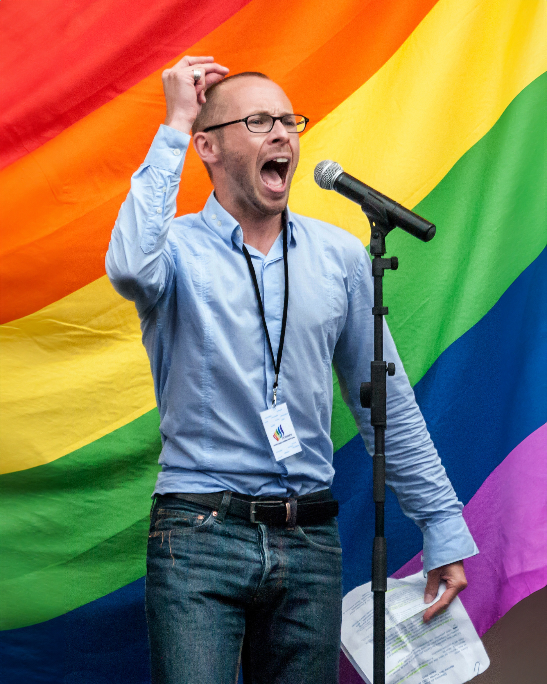 Erwann Le Ho - Politique