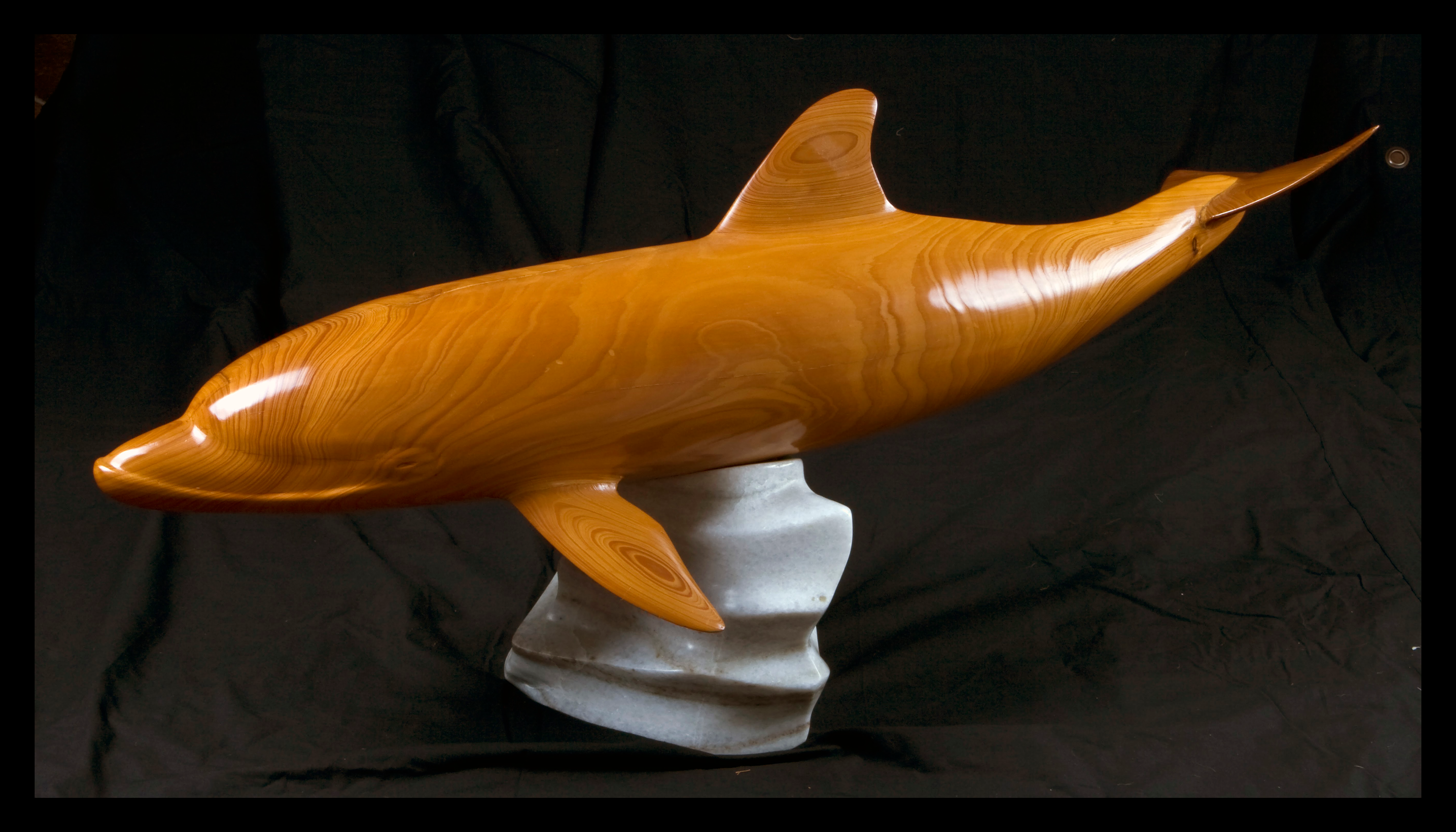Cypress Dolphin