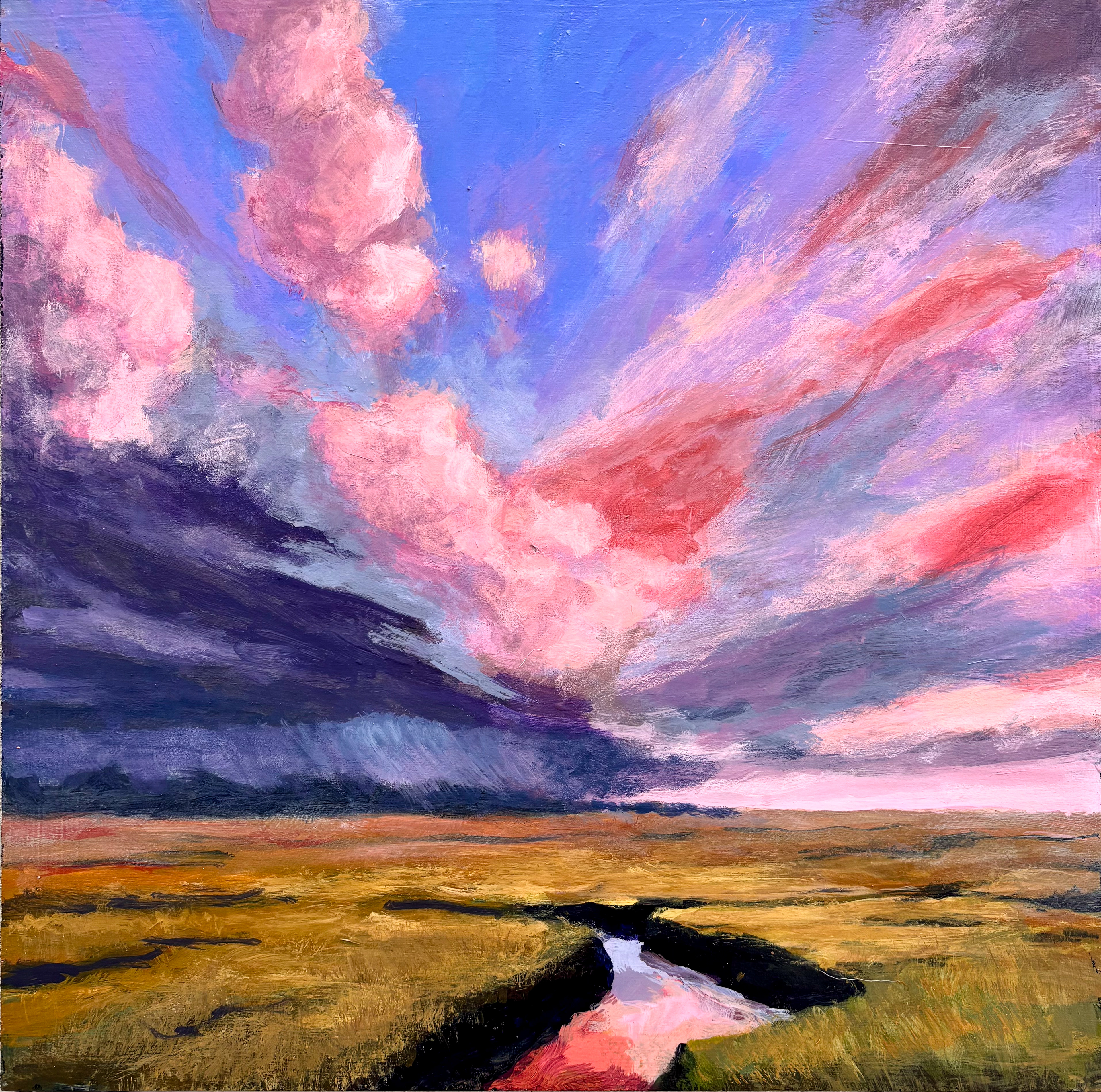 Swamp Storm