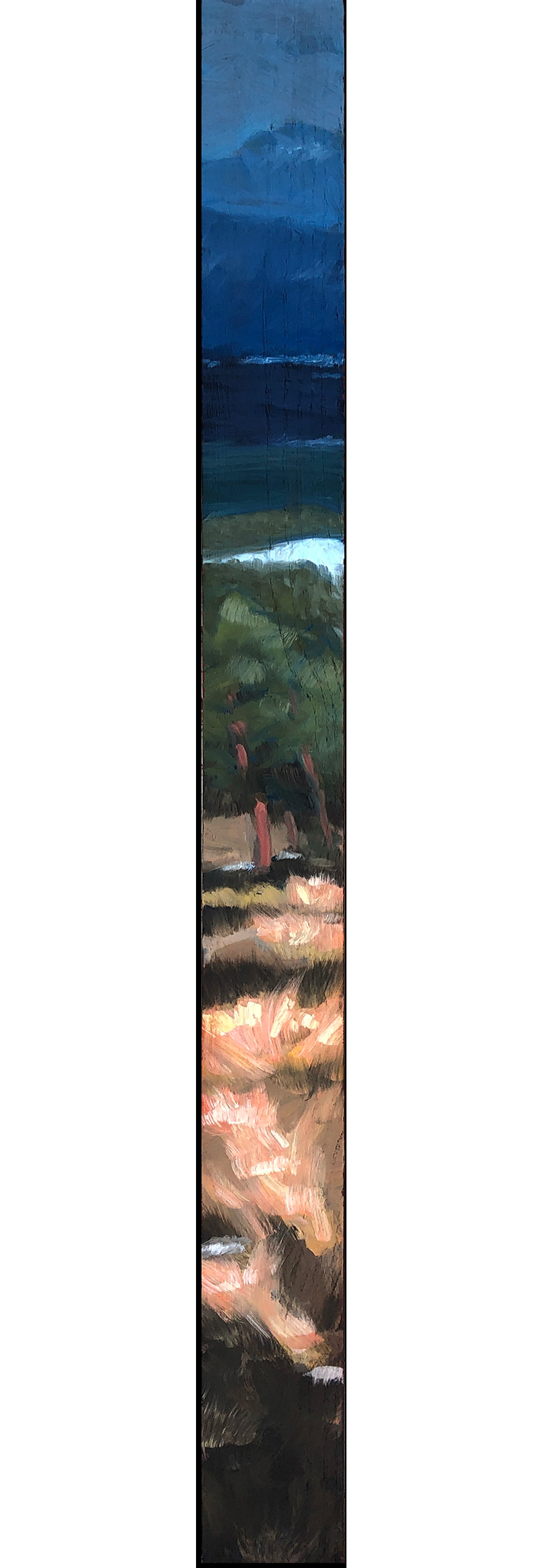 Mesa Trail