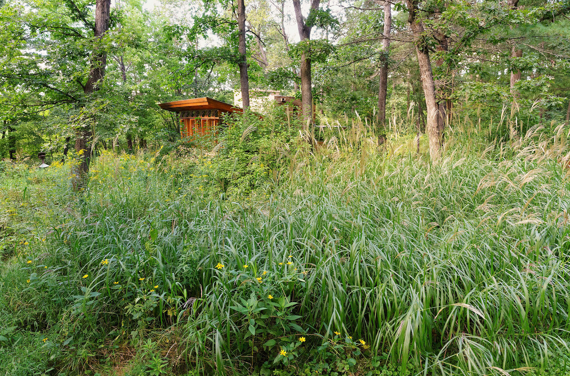 Seth Peterson Cottage