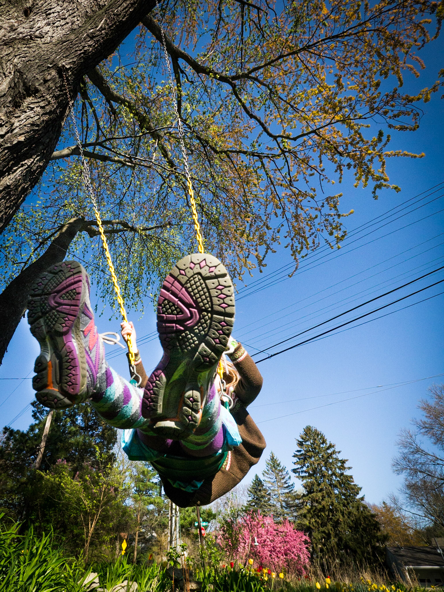 No coward soul is mine