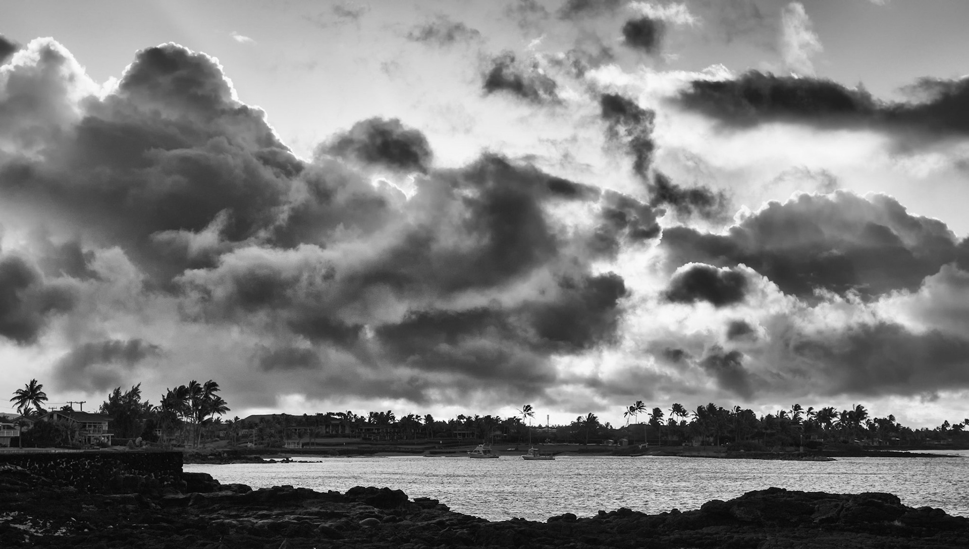 quote from Kevin Young's poem, "Choir (Dusk)"