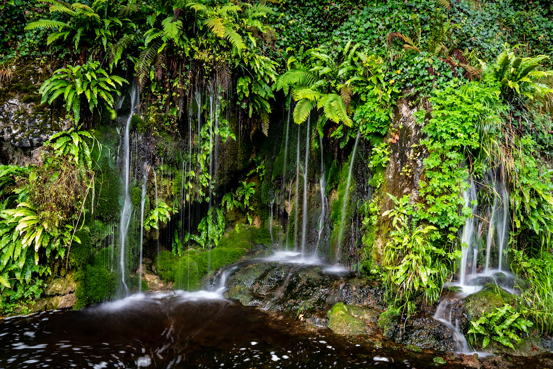 Blarney Castle Garden