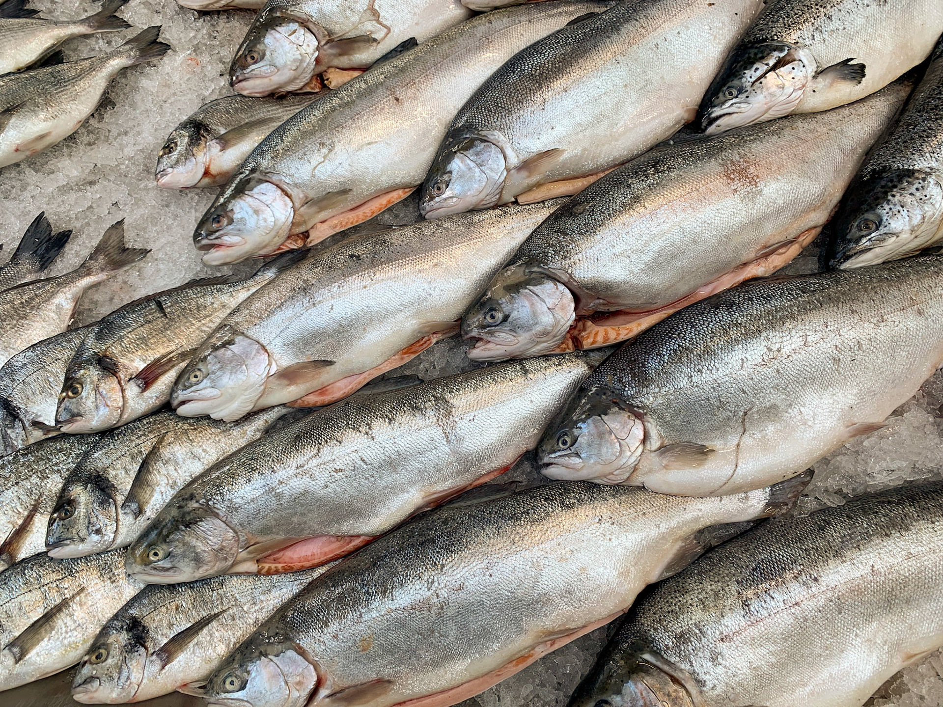 St. George's Market, Belfast