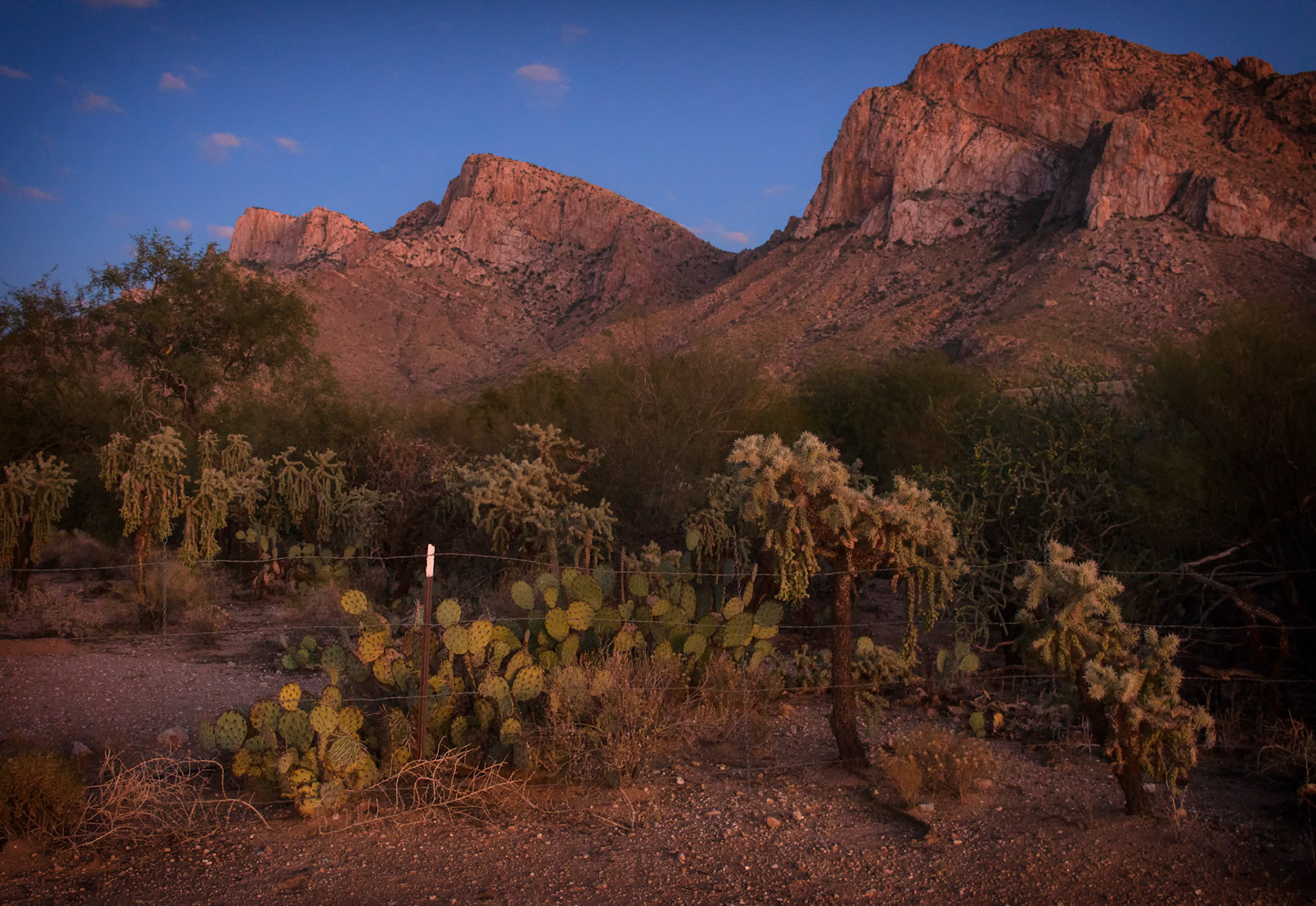 Pusch Ridge after sunset
