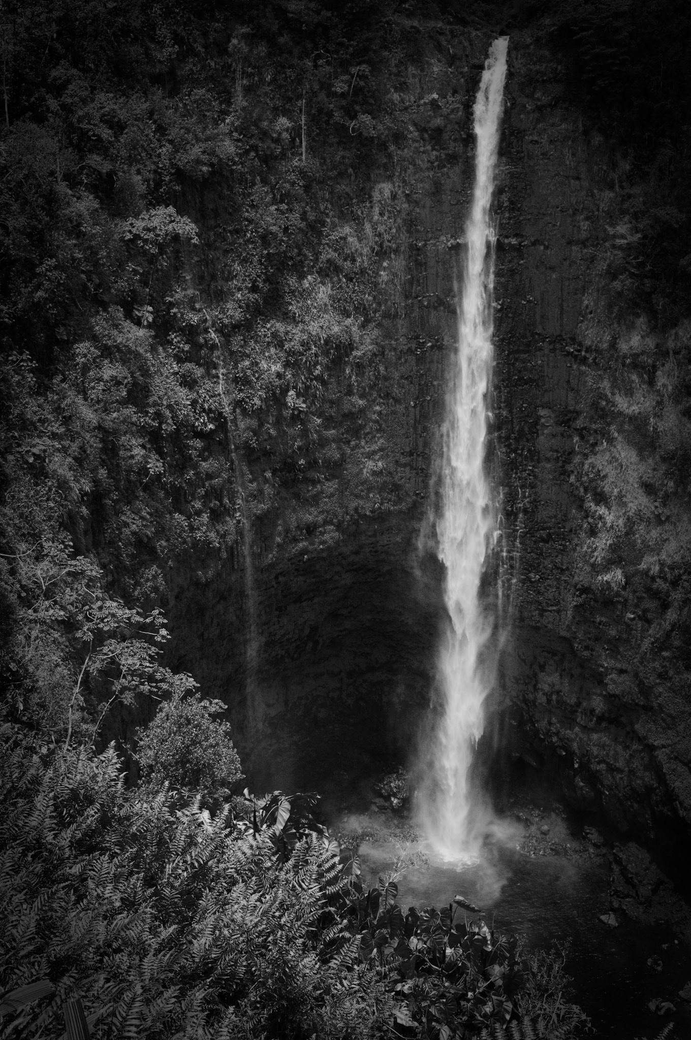 Akaka Falls