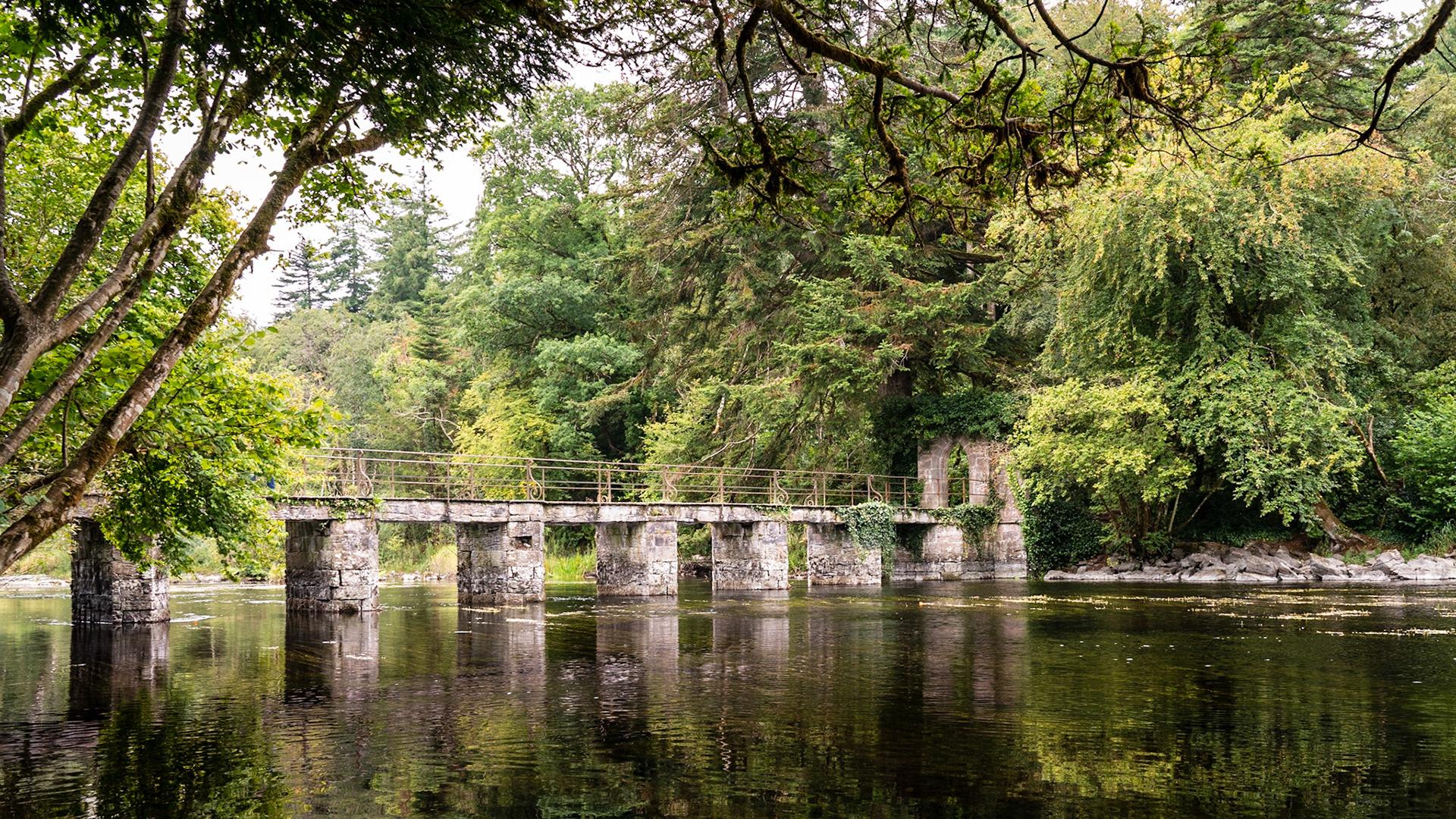Cong Abbey, Connemara