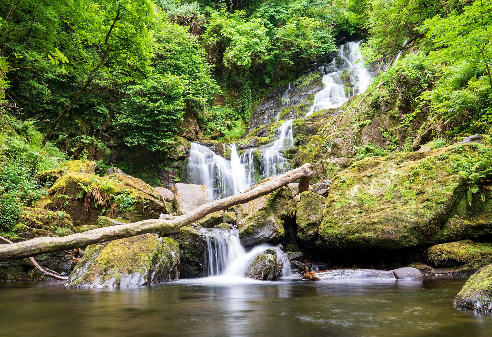 Torc Falls, Killarney National Park