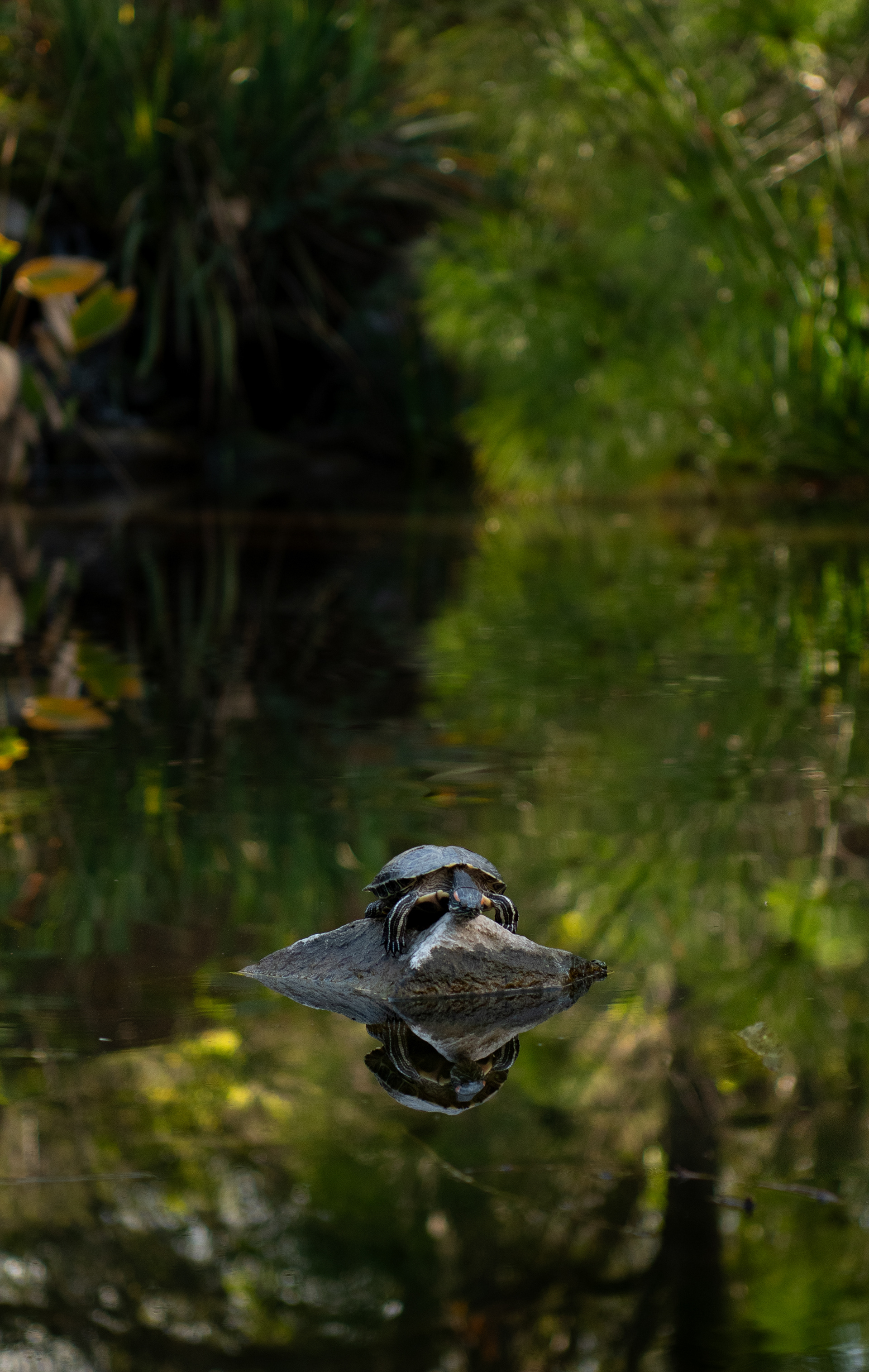 La Cañada Flintridge, CA - 2026