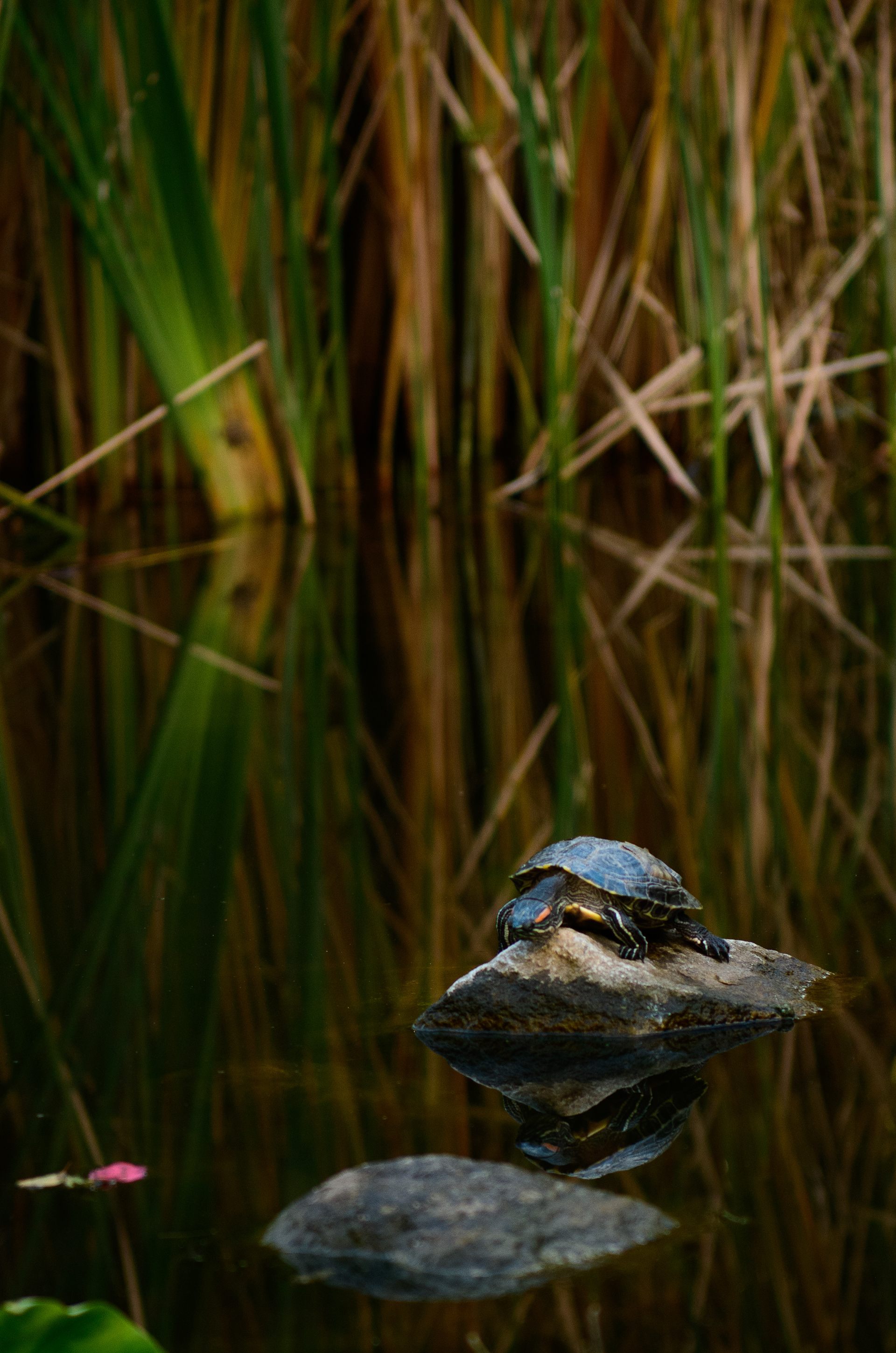 La Cañada Flintridge, CA - 2026